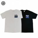 ACAPULCO GOLD : MADE IN USA TEE