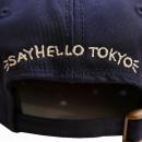 SAYHELLO : microscopic B.B Cap