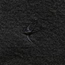 CLUCT : CLT-MELT PNT